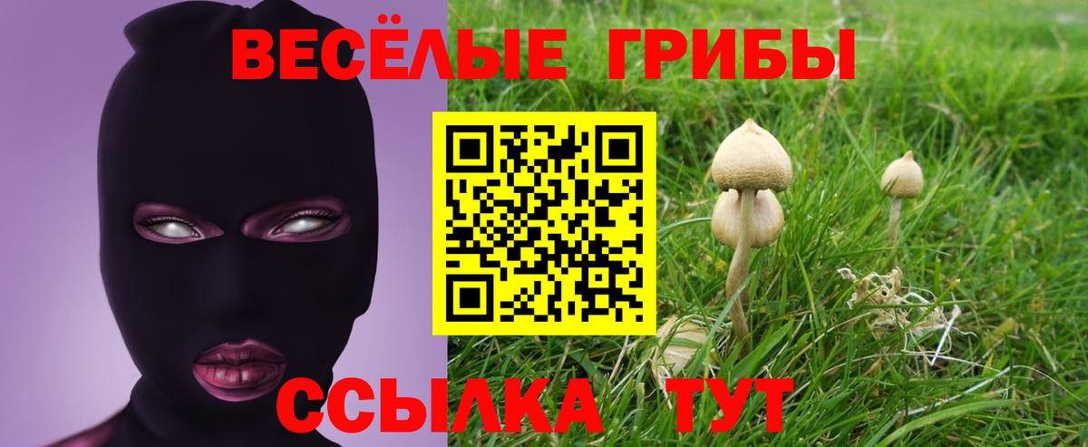 Псилоцибиновые грибы GOLDEN TEACHER Новороссийск