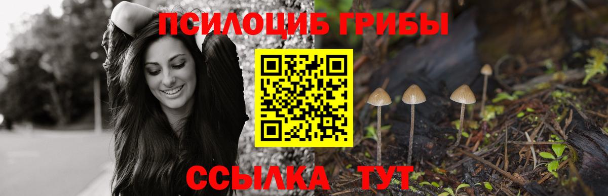 Галлюциногенные грибы Magic Shrooms  Вход с VPN  Галлюциногенные грибы Magic Shrooms  Новороссийск 